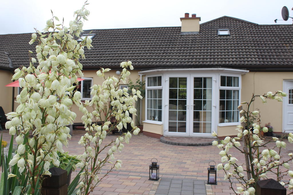 Woodview B&B Ardee Exterior photo